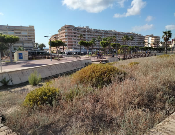 penismar-12